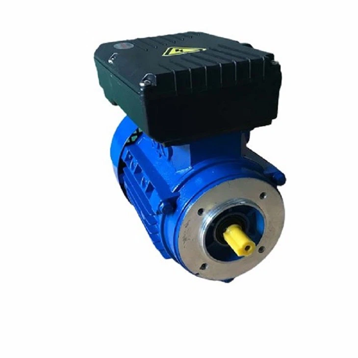 IMG_3030.JPG-removebg-preview(001)